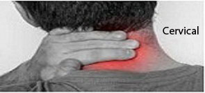 Cervical Pain / Neck Pain